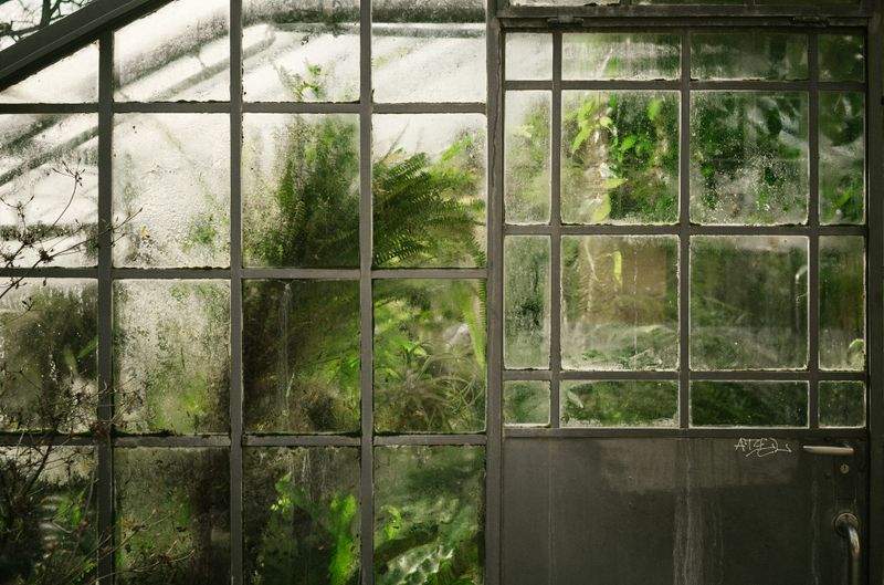 Grünblick Gartenservice GmbH