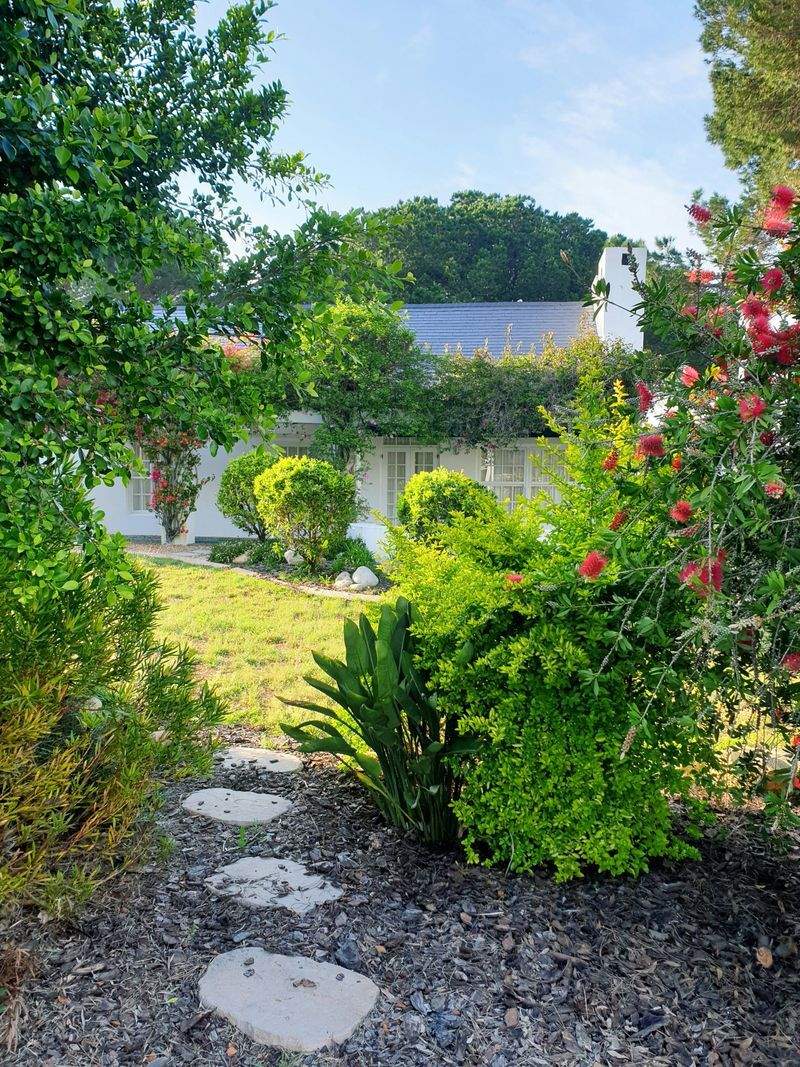 Mehr Struktur im Garten: Wege, Beete und kleine Flächen sinnvoll gestalten