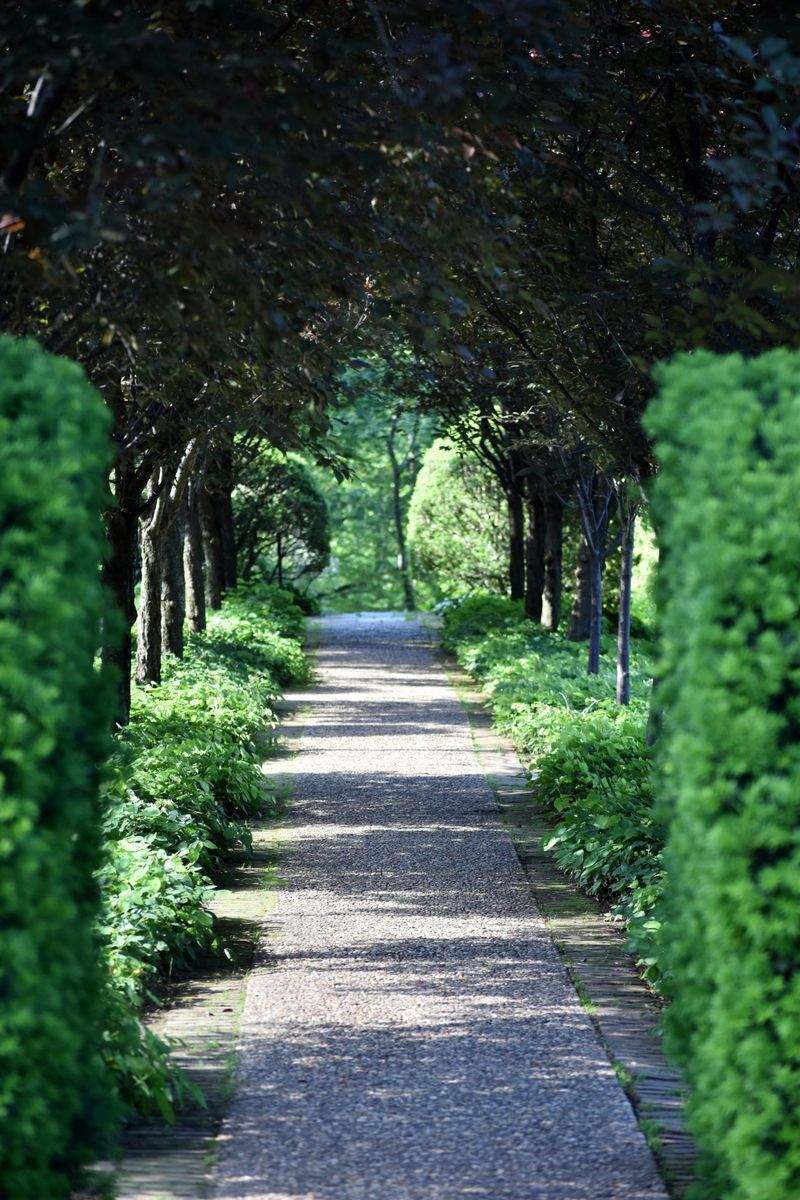 Grünblick Gartenservice GmbH 10
