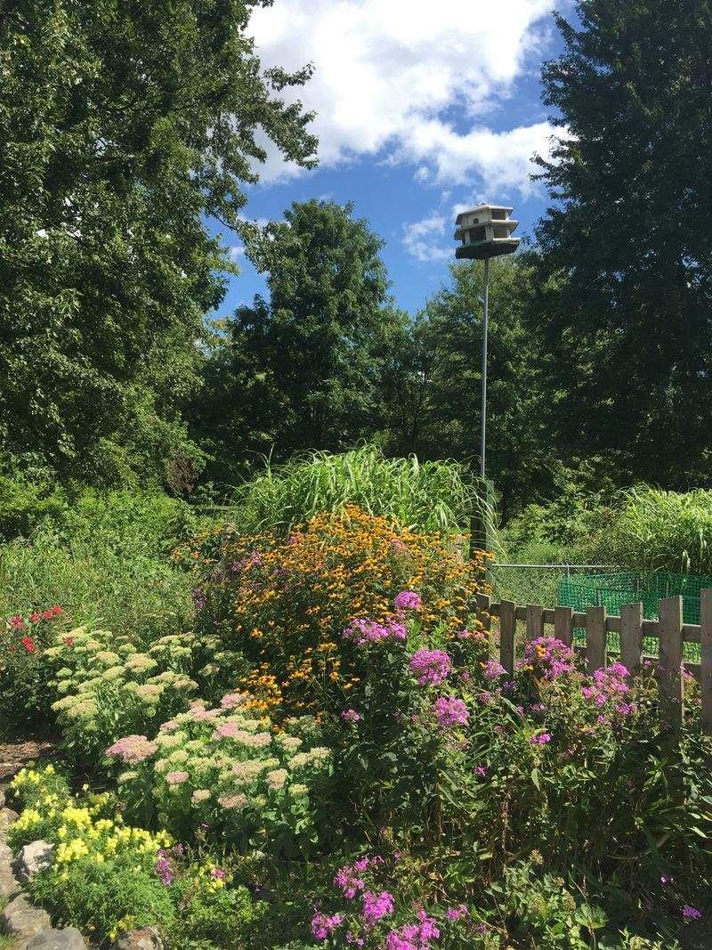 Grünblick Gartenservice GmbH 4